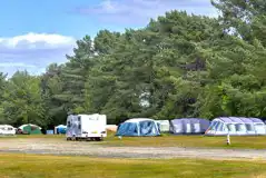 Electric grass pitches