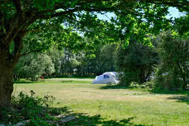 Holmsley Campsite