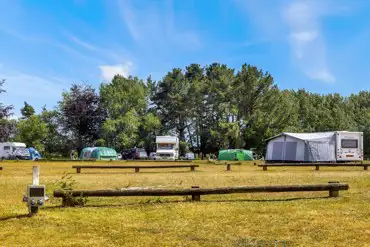 Electric (9m x 9m) grass pitches at Holmsley Campsite (awnings allowed)