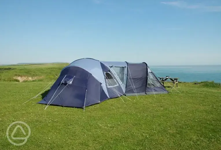 Grass pitches