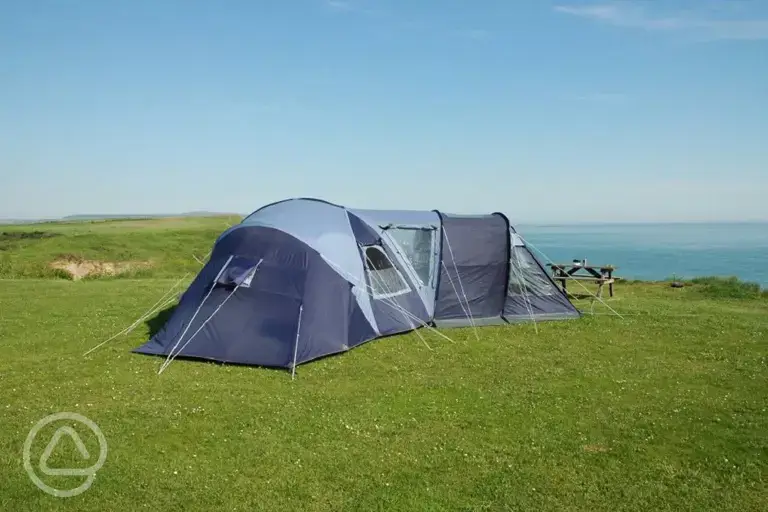 Grass pitches
