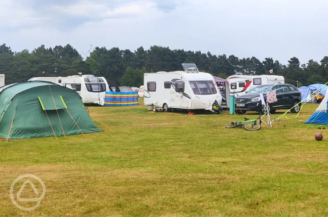 Electric grass pitches