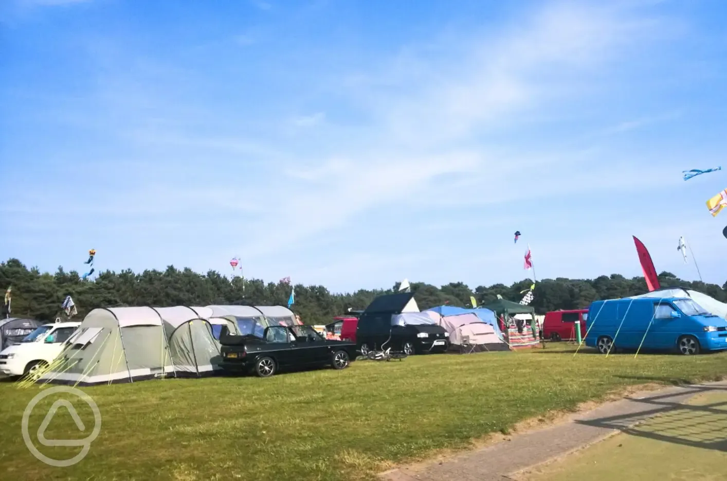 Grass pitches