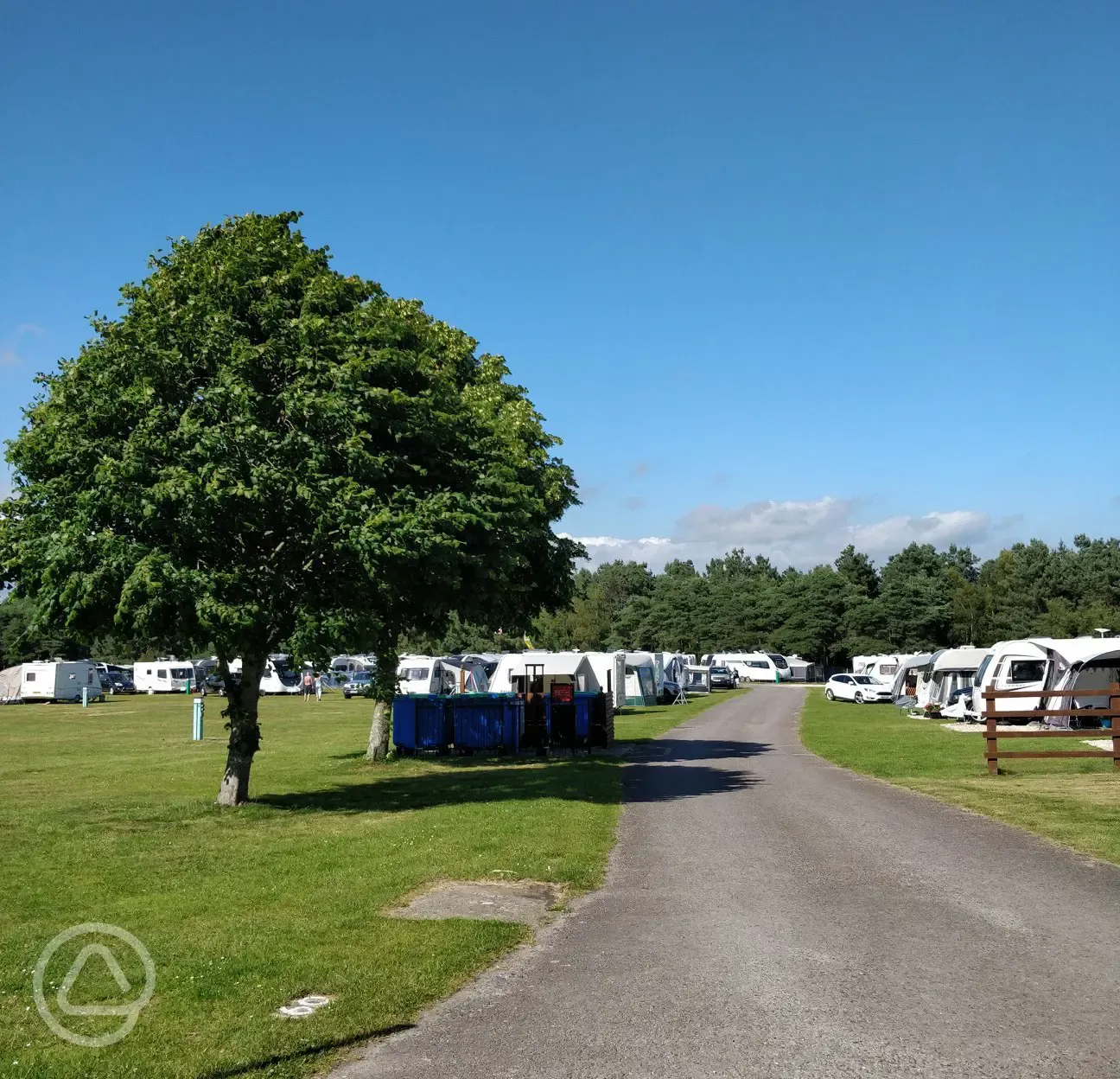 Blue skies at Birchwood