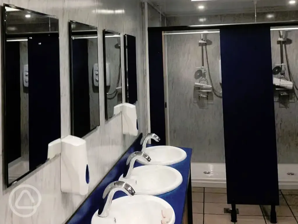 Shower cubicles with sinks and mirrors 