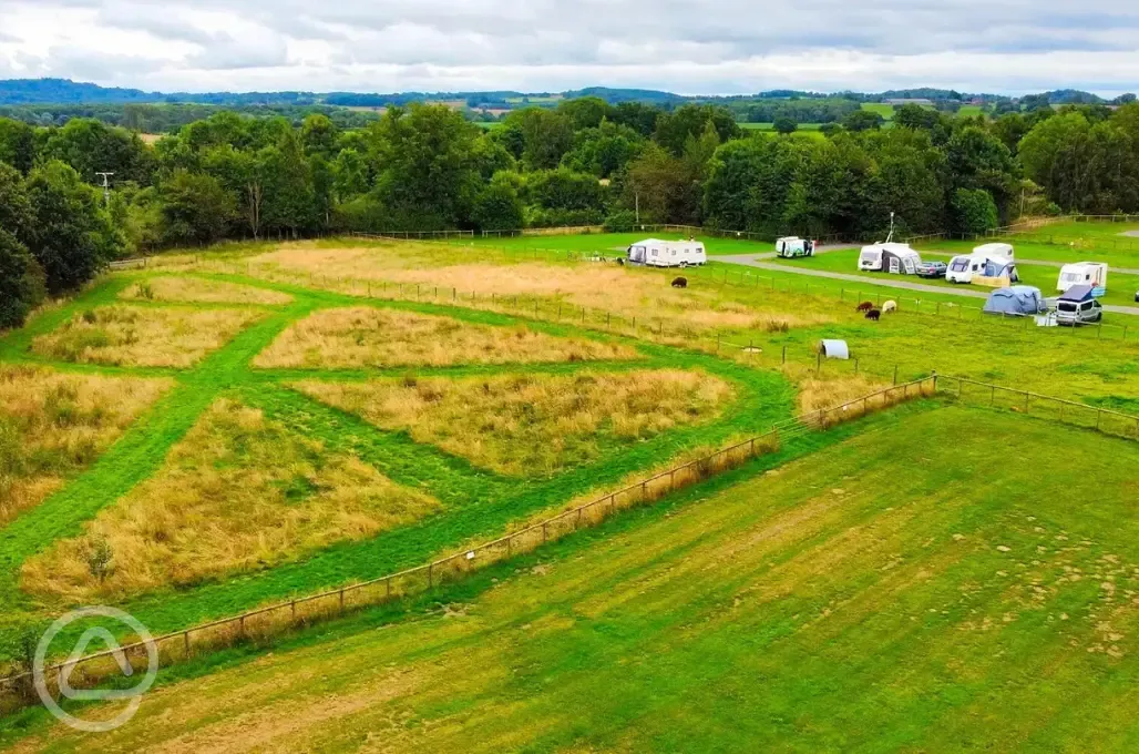 Aerial of the Purple area grass pitches and dog run field