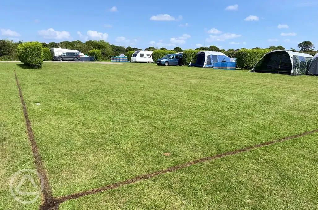 Non electric grass pitches (Silver)