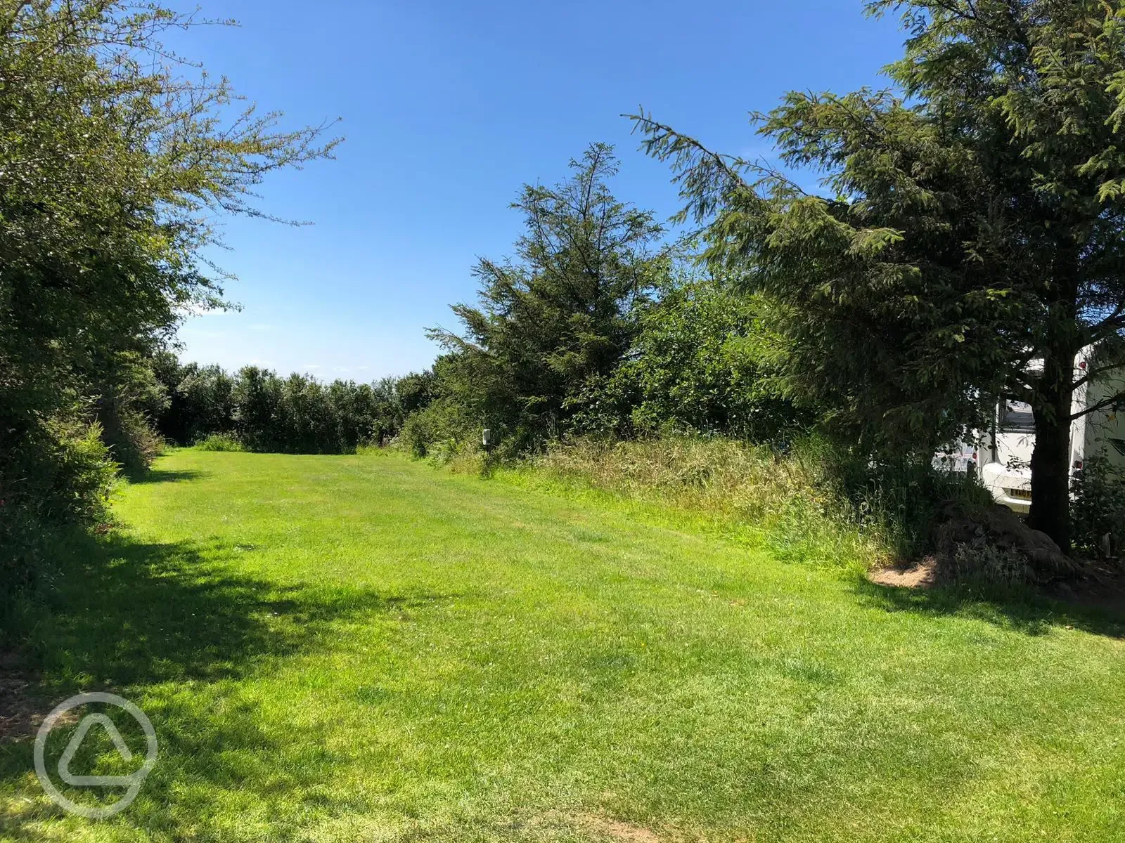 Electric grass double paddock pitch