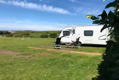 Electric grass silver plus Starling field pitches