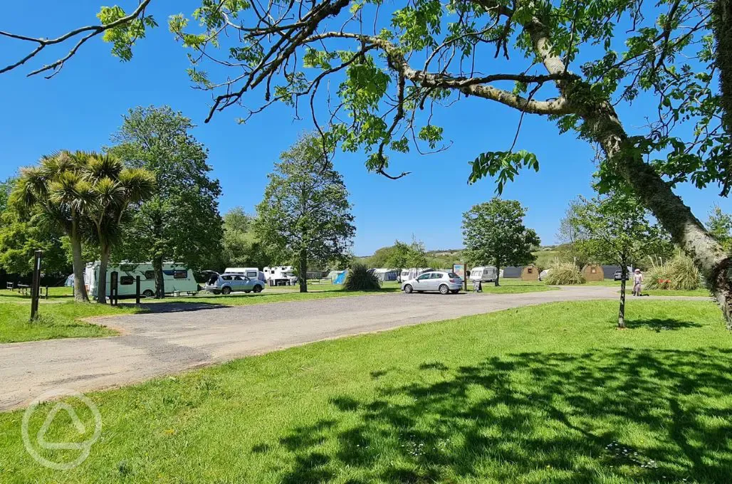 Grass pitches