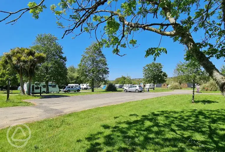 Grass pitches