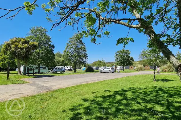 Grass pitches