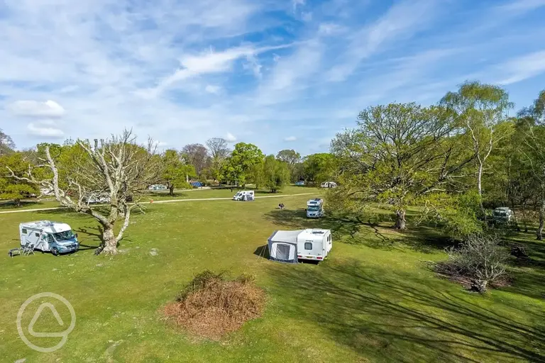 Non electric grass pitches at Denny Wood Campsite