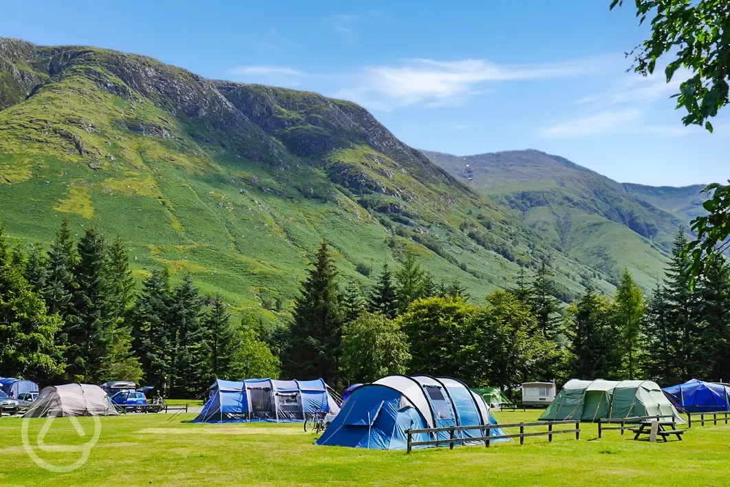 Electric open field grass tent pitches with 16 amp electric hook up