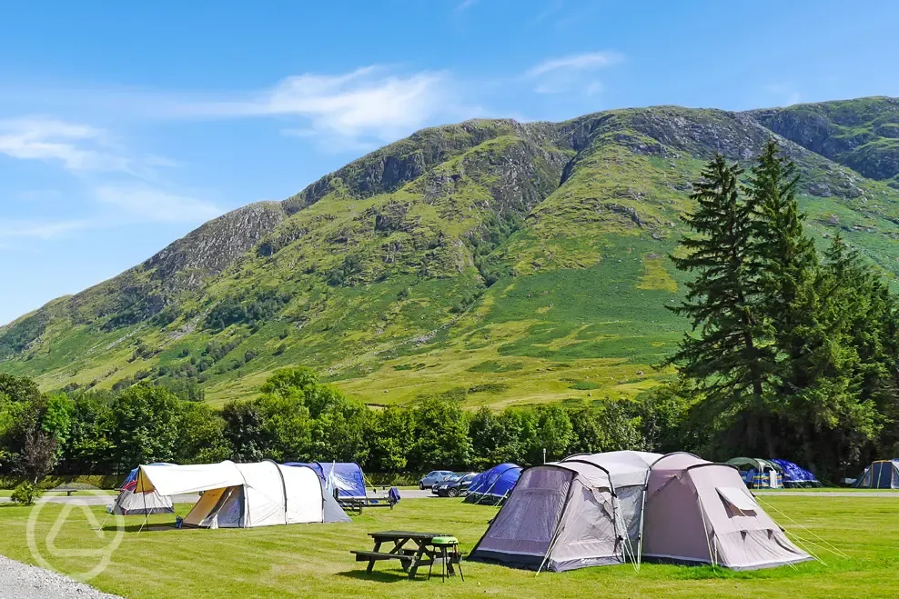 Electric grass pitches