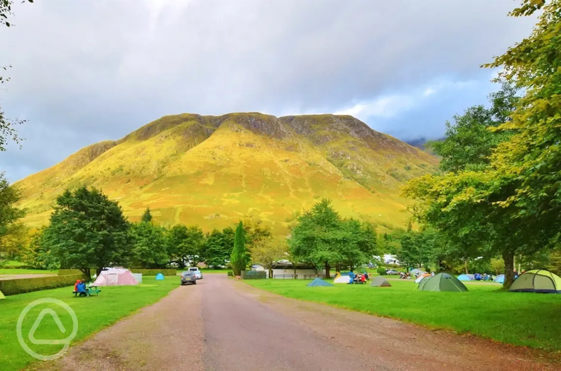 Grass pitches