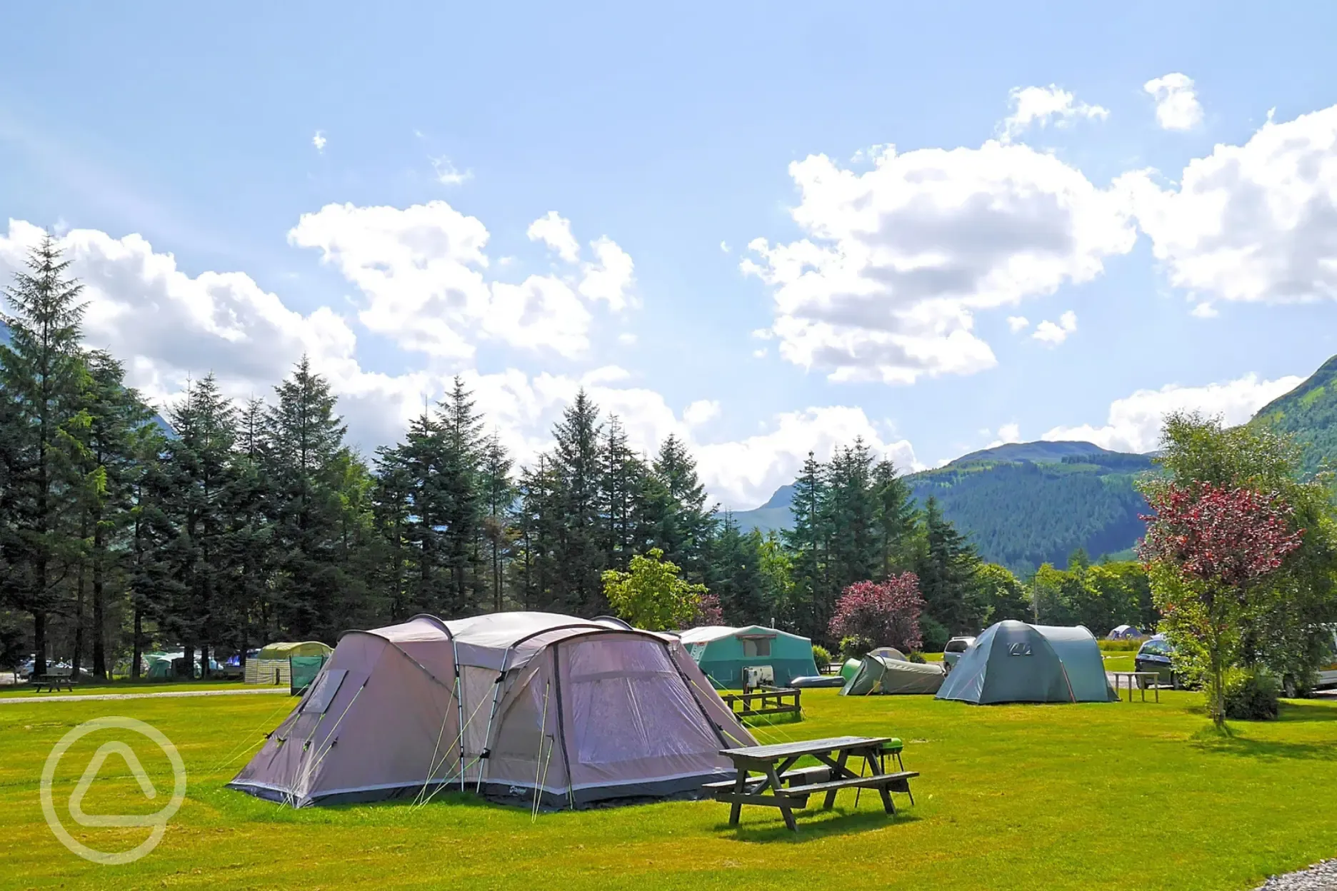 Grass pitches with picnic benches, surrounded by trees