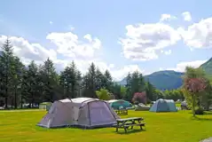 Grass pitches with picnic benches, surrounded by trees Grass pitches with picnic benches, surrounded by trees