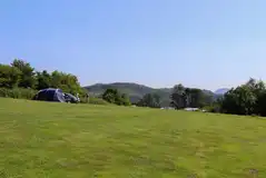 Grass pitches (non electric and electric options)