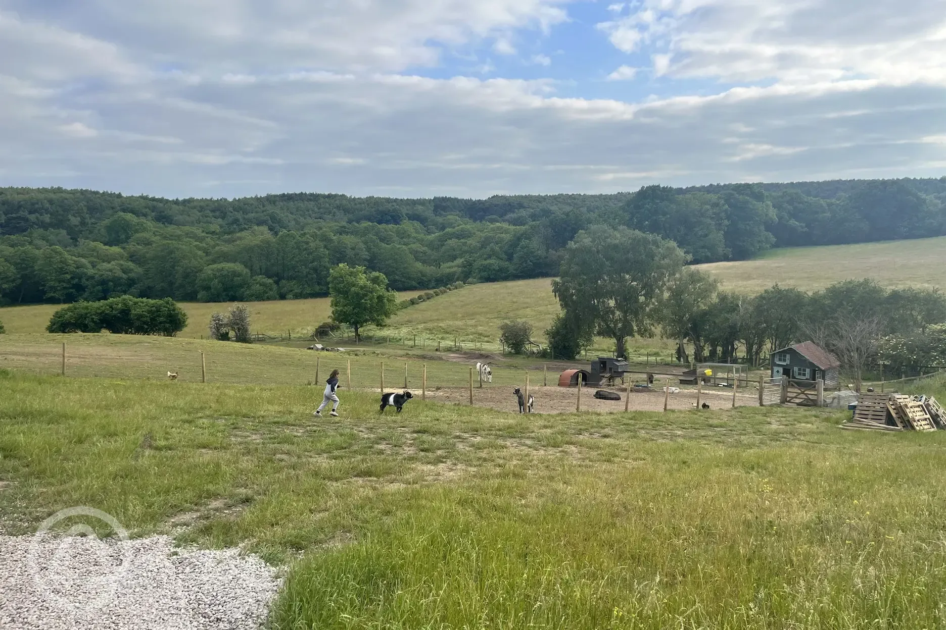 Mini farm on-site.