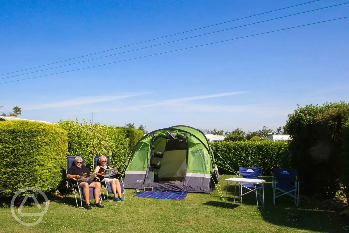 Gold grass pitches