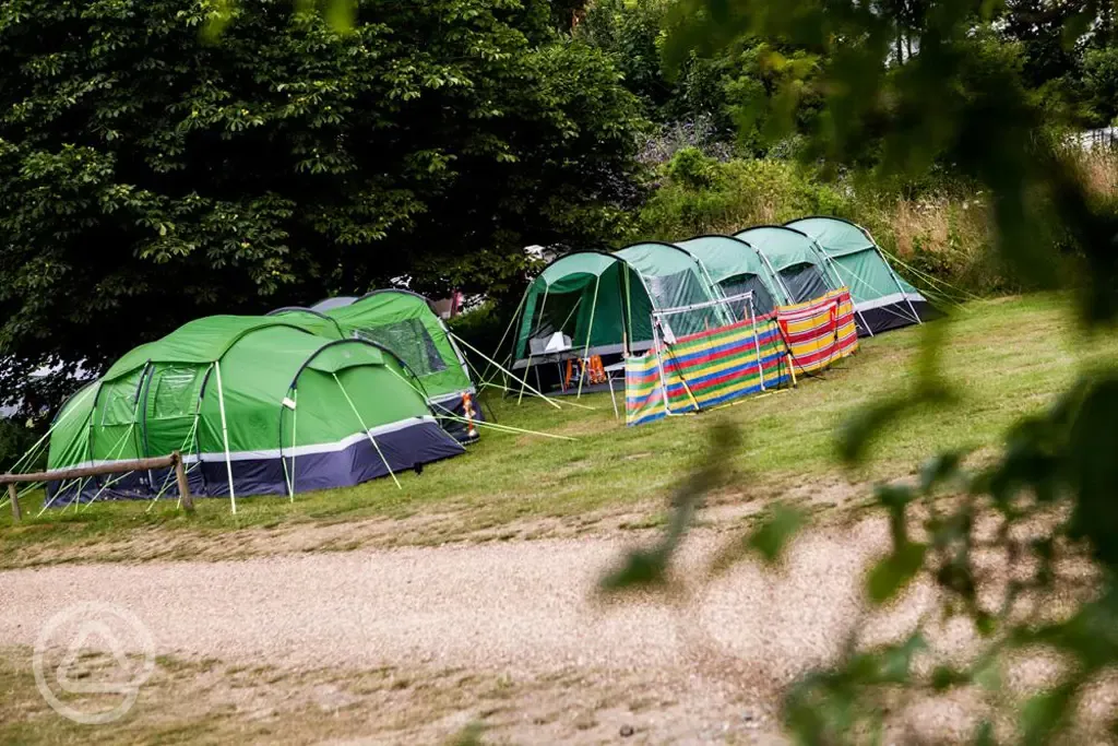 Tent pitches