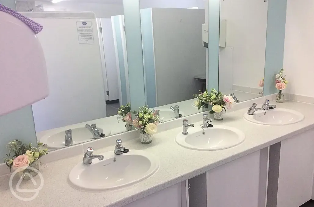 Sinks in the toilets