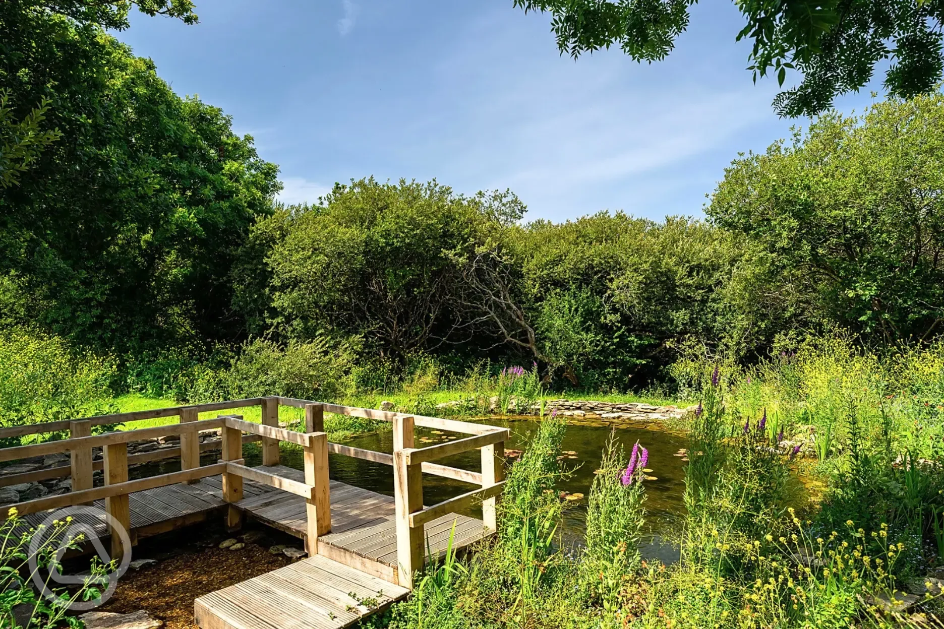 Nature reserve with wildlife and a jetty for pond dipping