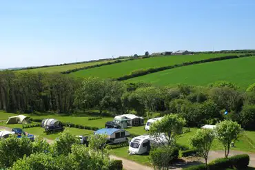 Electric grass pitches