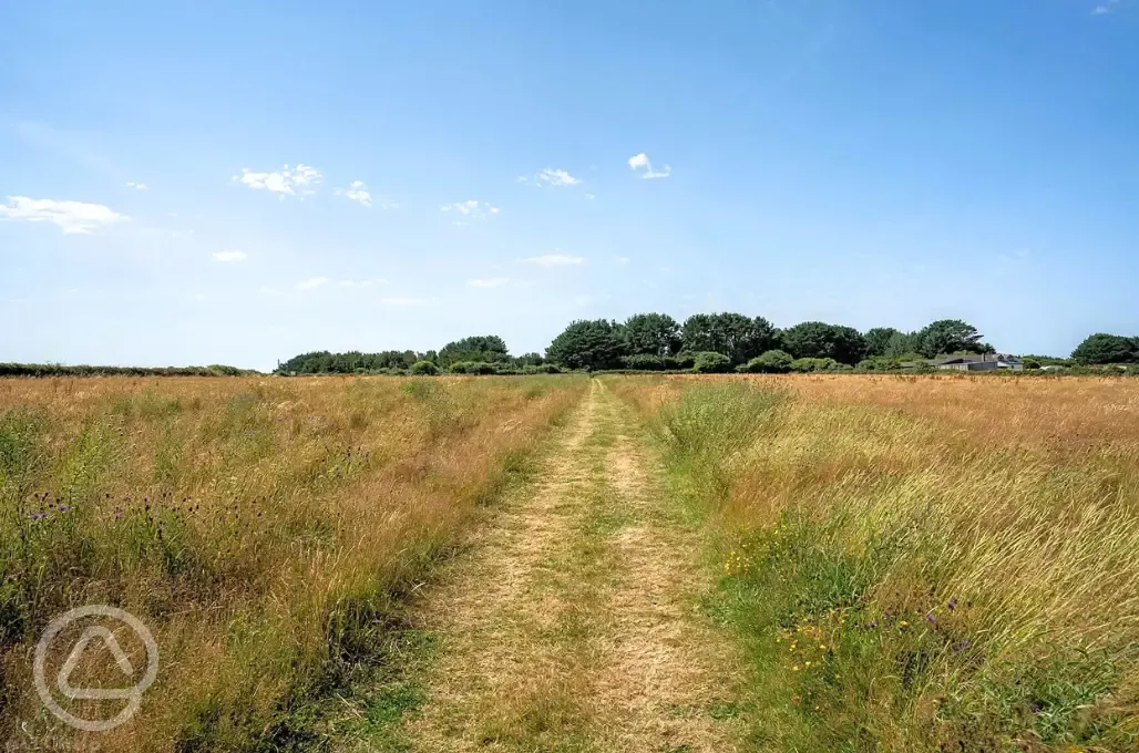 Dog exercise area