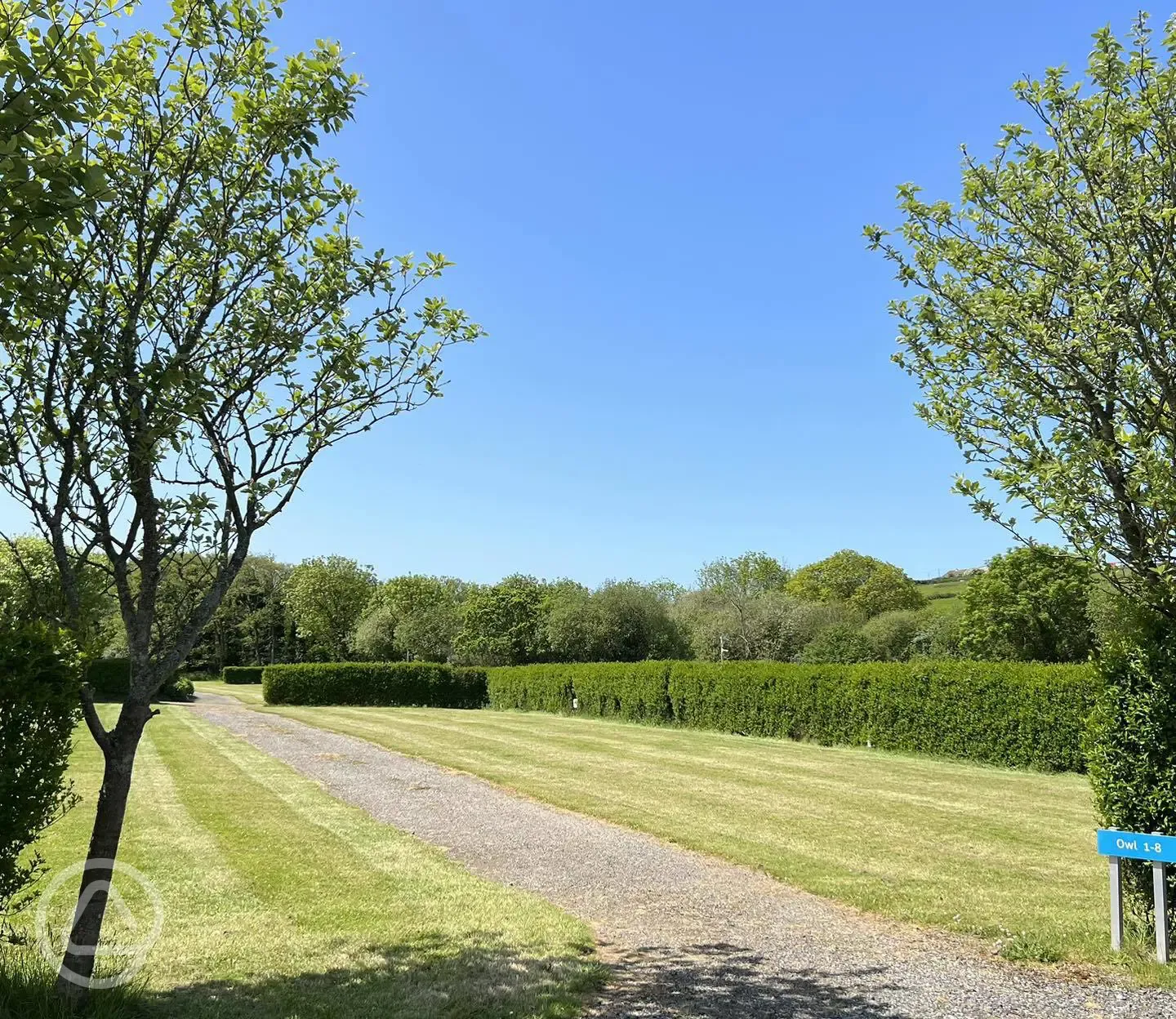 Grass camping pitches with 16 amp hook ups and hedges between