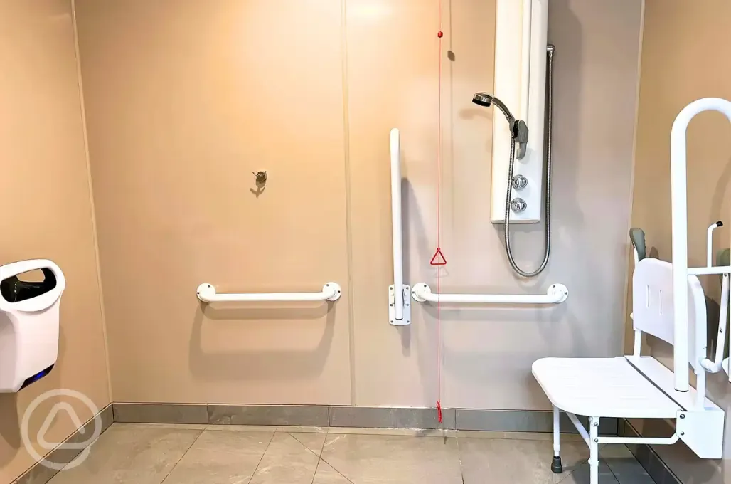 Accessible washroom and shower with a seat and grab rails