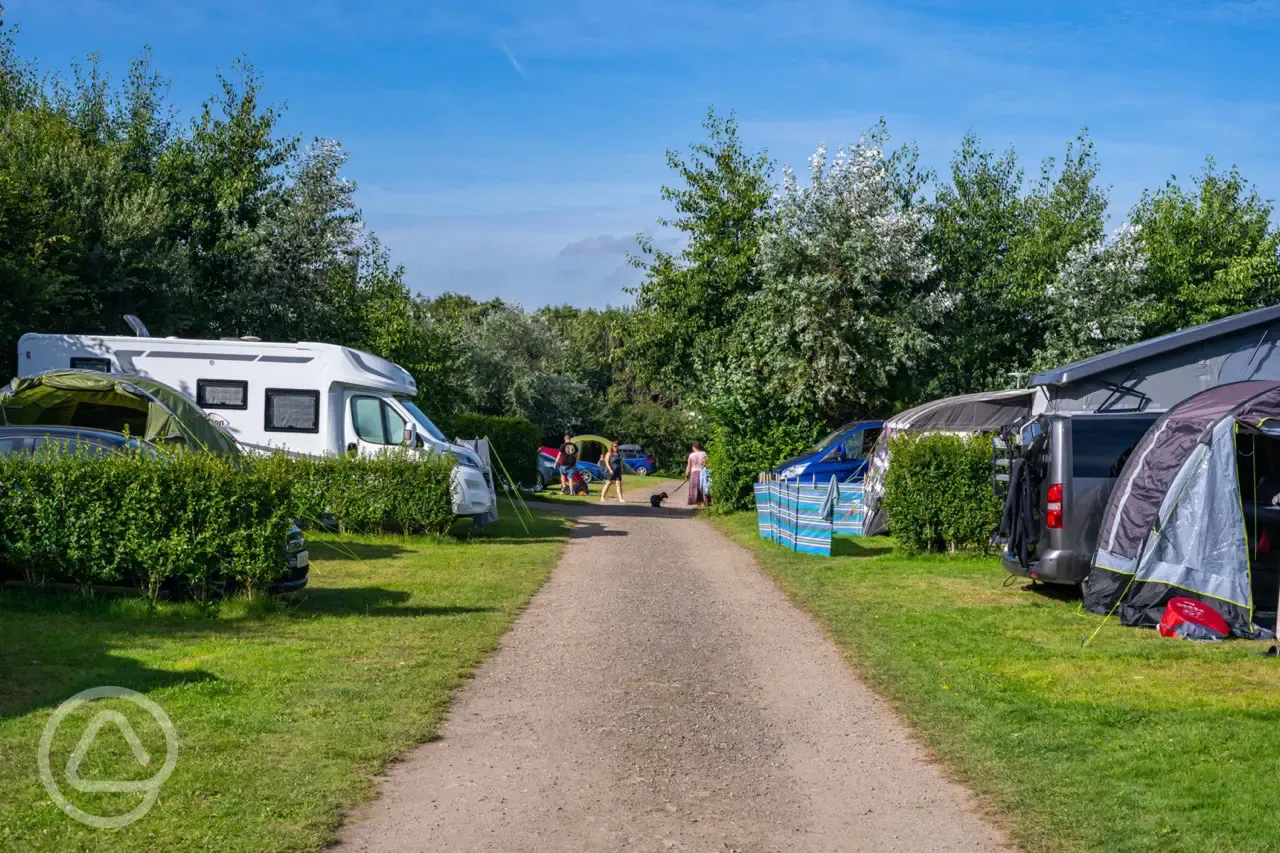 Electric grass pitches with 16 amp hook ups