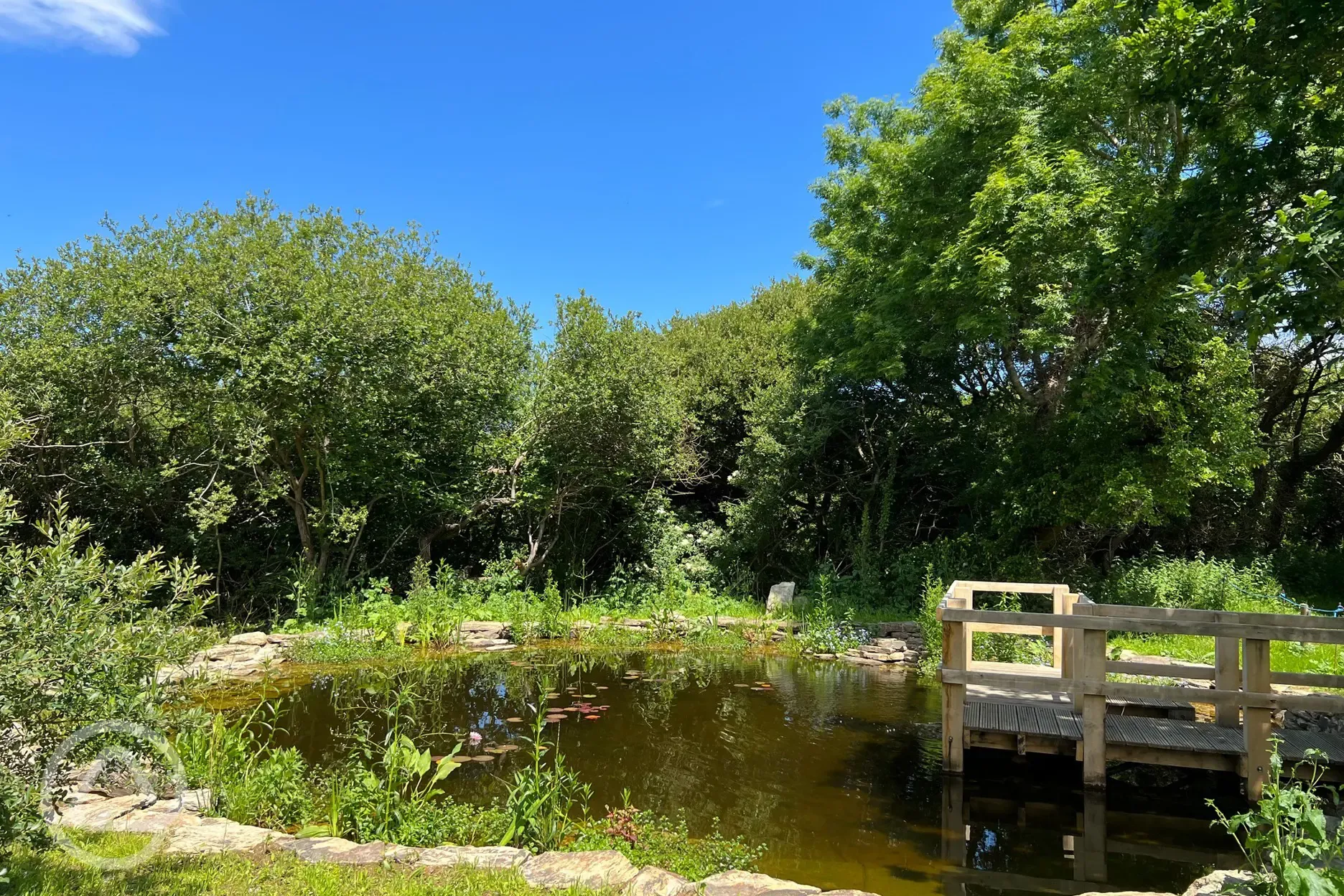 Nature reserve with wildlife and a jetty for pond dipping