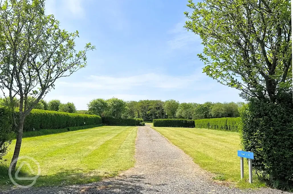 Electric grass pitches with 16 amp hook ups