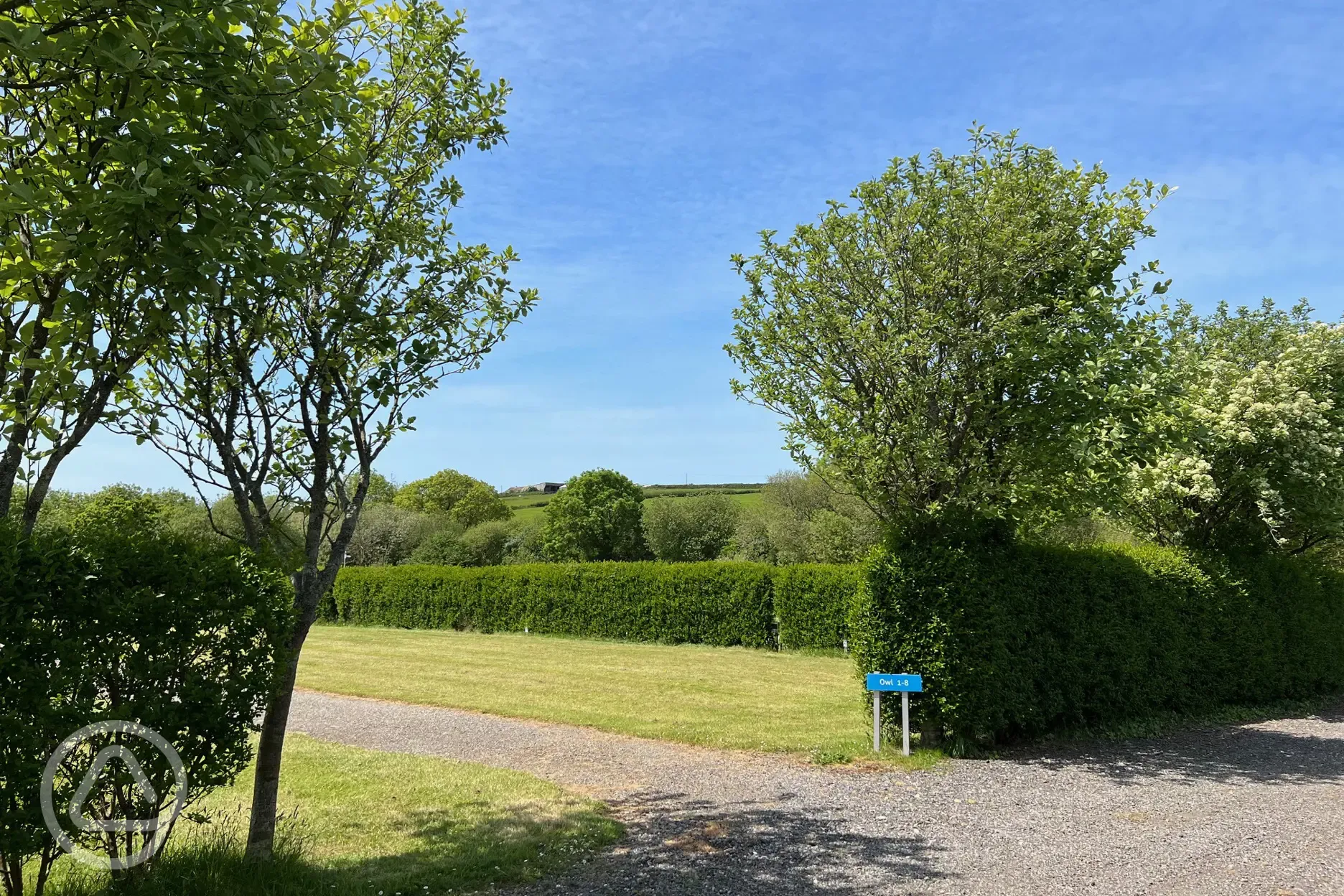 Grass camping pitches with 16 amp hook ups and hedges between