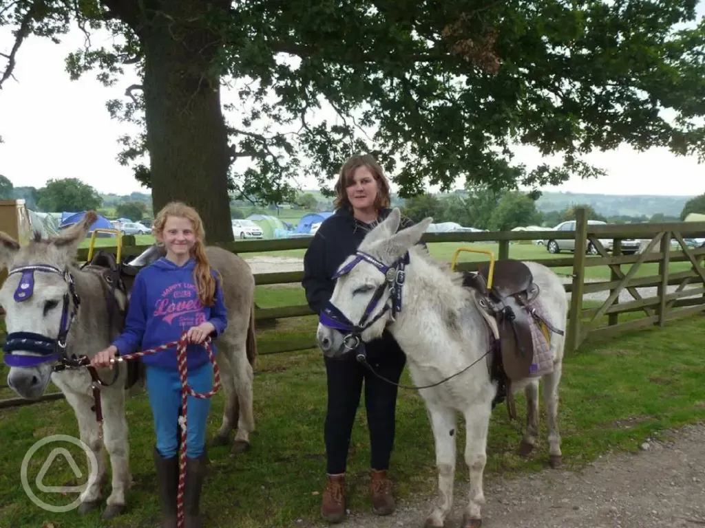 Donkey rides at Barn Farm Campsite