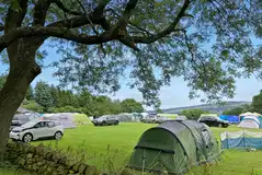 Non electric grass pitches with space for a parked car