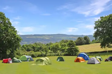 Non electric grass pitches (pitches are slightly sloped)