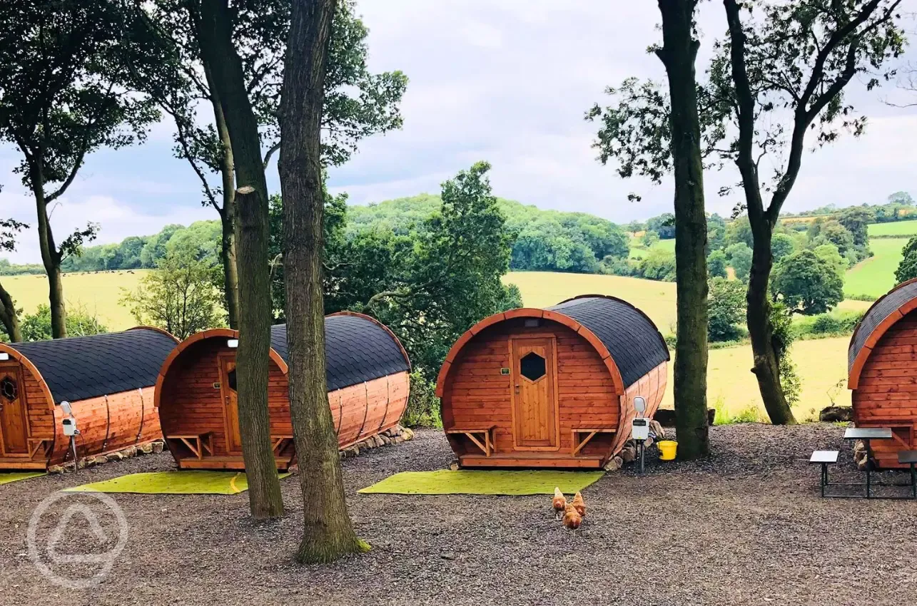 Barrell camping pods exterior, sleeping four and set amongst woodland