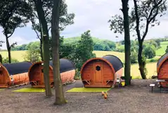 Barrell camping pods exterior, sleeping four and set amongst woodland