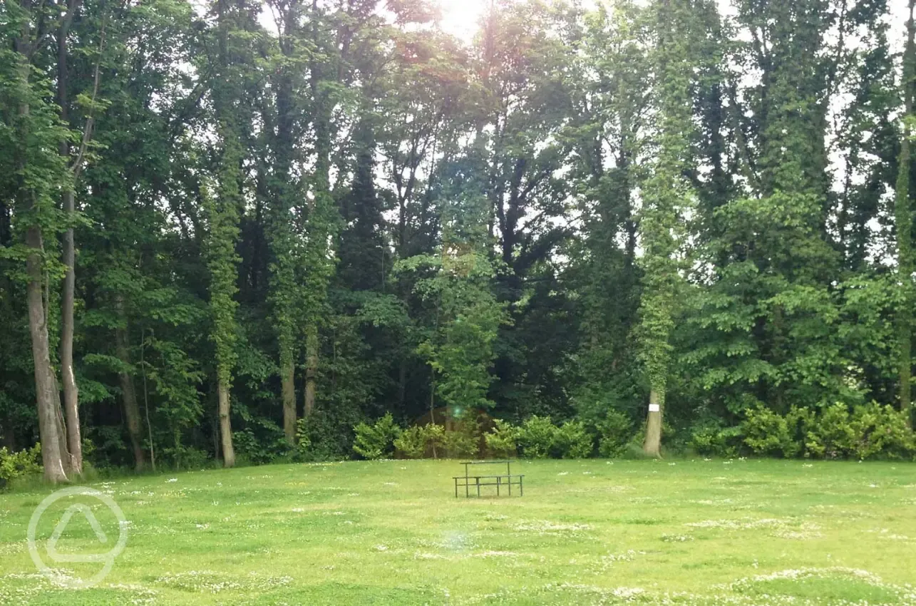 Non electric grass pitches surrounded by woodland