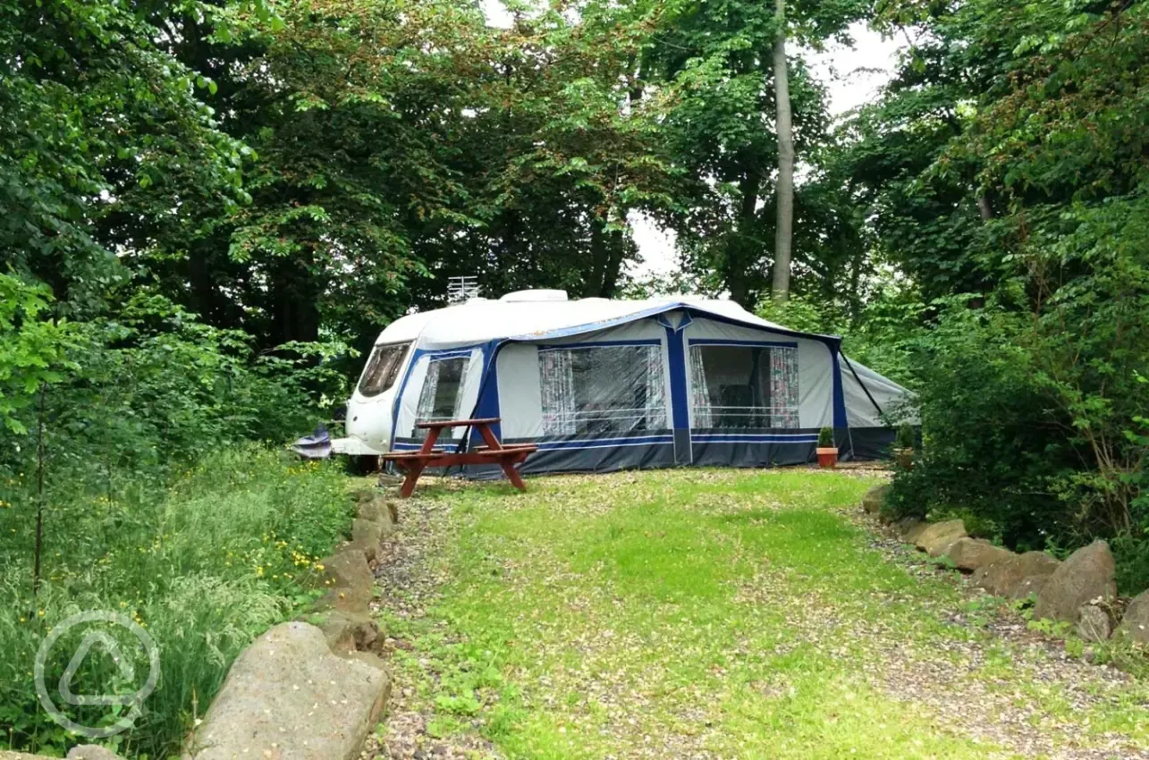 Hardstanding pitches in a secluded woodland area