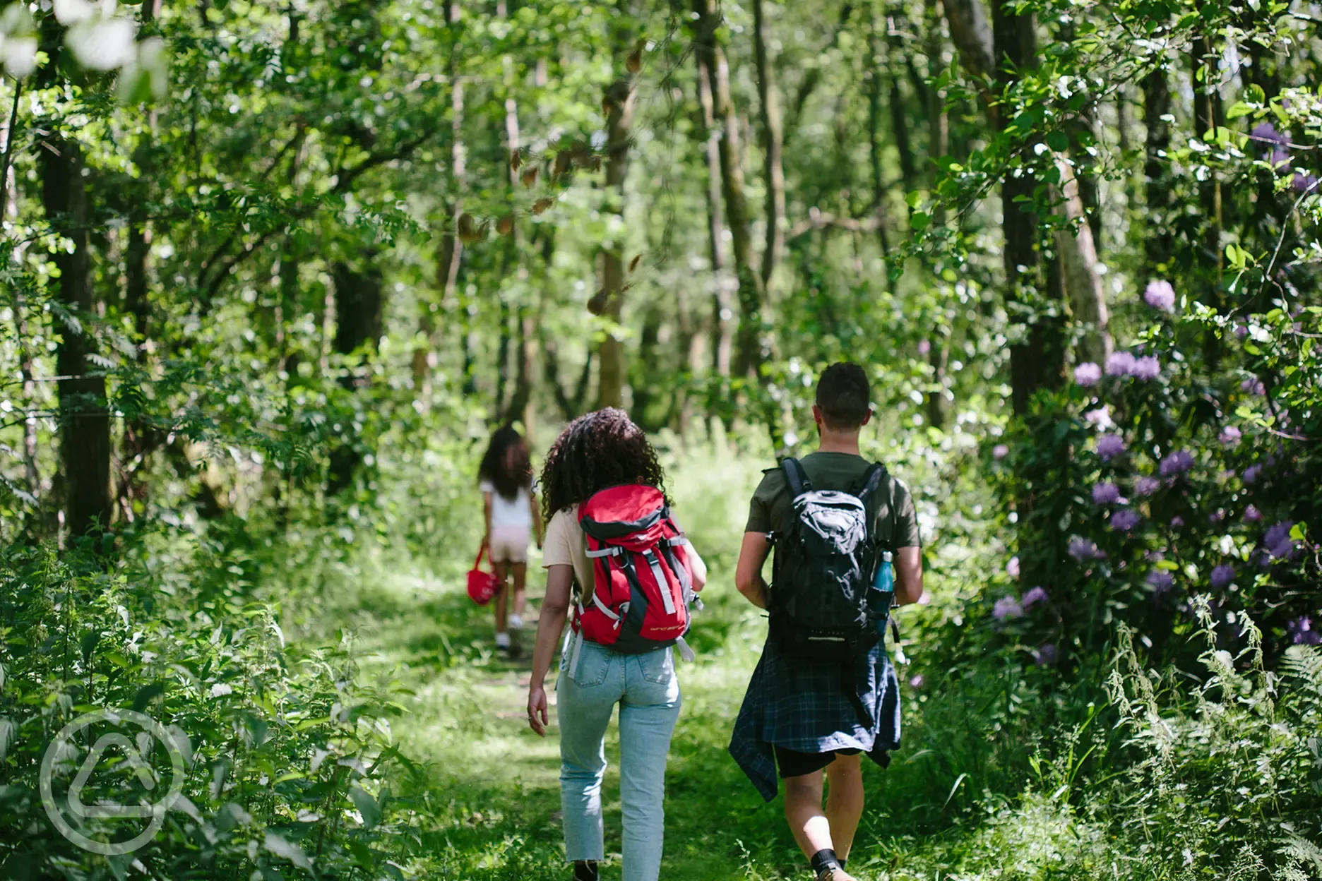 Woodland walks 