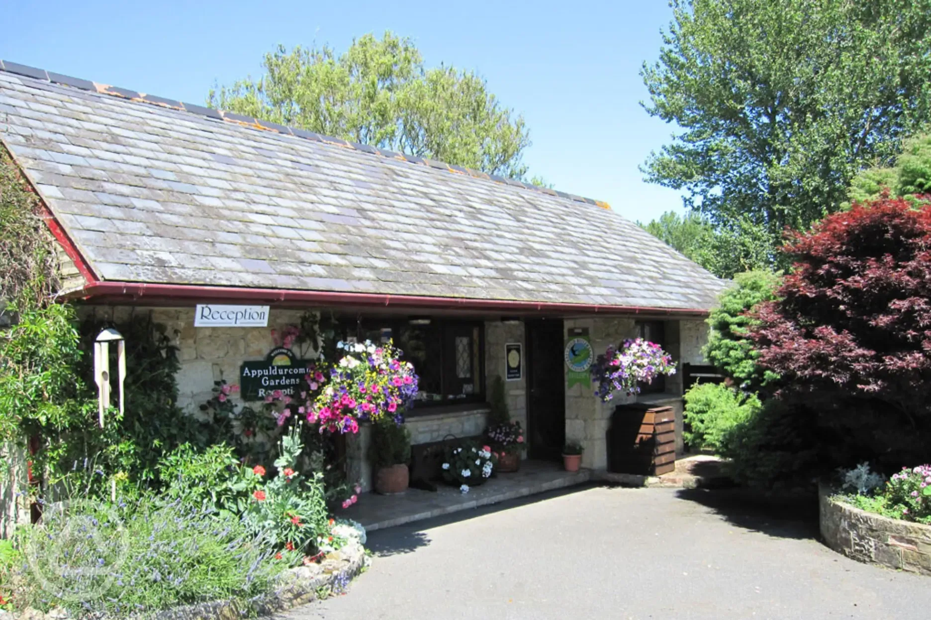 Reception at Appuldurcombe Gardens Reception at Appuldurcombe Gardens