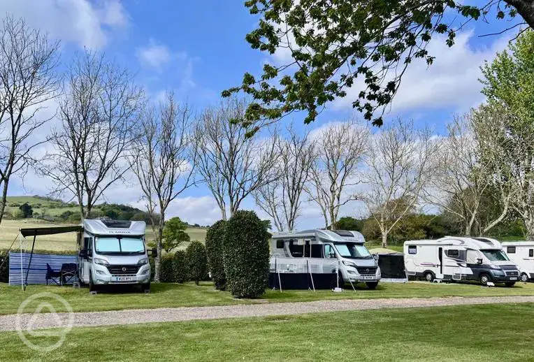 Grass touring pitches at Appuldurcombe Gardens 