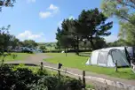 Electric grass tent pitches at Appuldurcombe Gardens