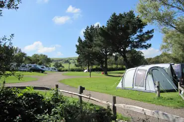 Electric grass tent pitches at Appuldurcombe Gardens 