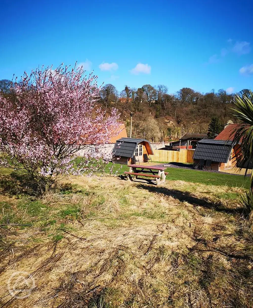 Glamping pods