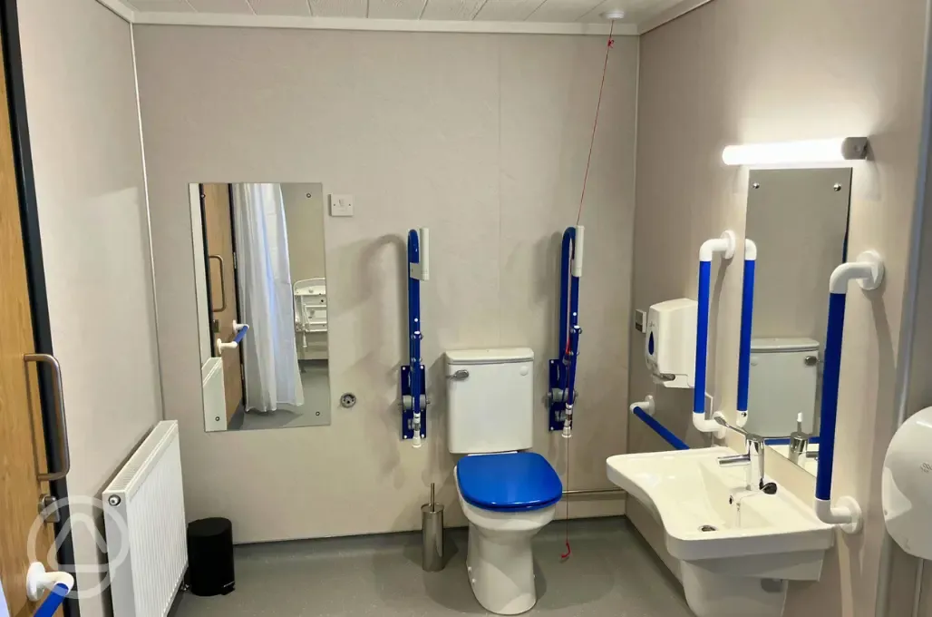 Disabled bathroom with toilet, sink and handrails